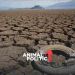 Sequía pega al 41% de México; proponen captar lluvia en todo el país