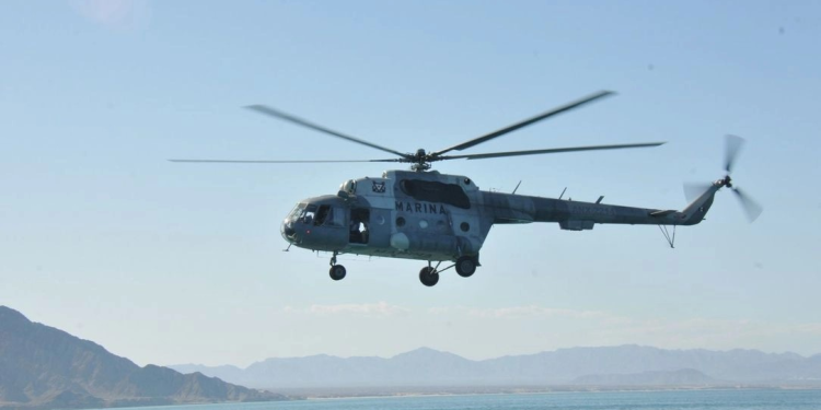 Pesca ilegal rebasa medidas de conservación de totoabas y vaquita marina