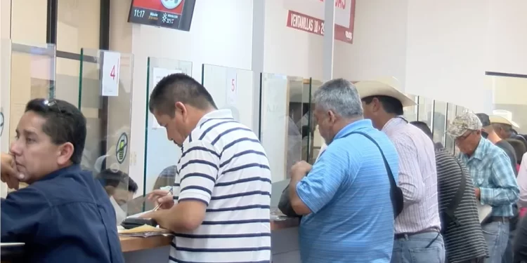 Descuentos en Revalidación Vehicular Siguen Vigentes en Mes de Marzo en Sonora