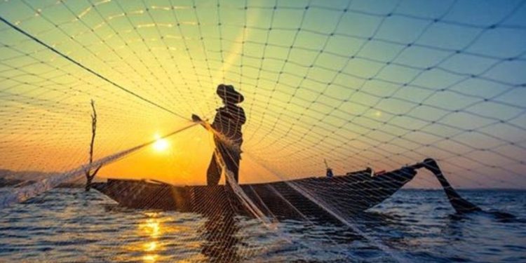 Sonora el principal estado pesquero de México