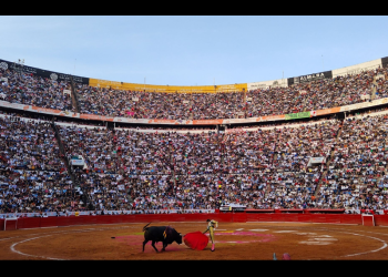 Congreso CDMX prohíbe corridas de toros con violencia
