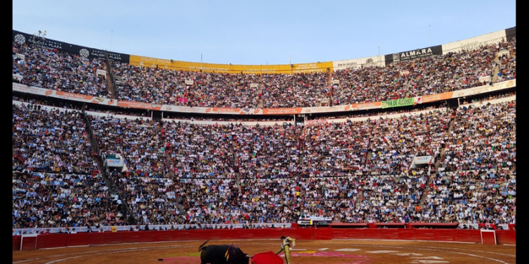 Congreso CDMX prohíbe corridas de toros con violencia