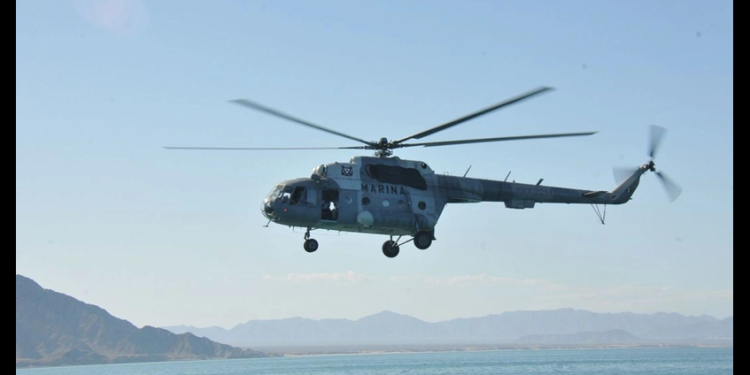 Pesca ilegal rebasa medidas de conservación de totoabas y vaquita marina