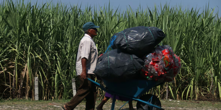 Trabajar hasta morir o confiar en las ayudas públicas y las Afores: el incierto panorama de la vejez para los mexicanos