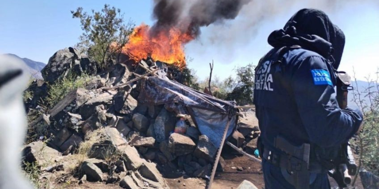 Destruyen autoridades de Sonora supuestos puntos de vigilancia del crimen organizado