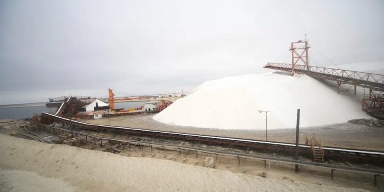 Por nacionalización de exportadora de sal en México, empresa japonesa se lleva clientes