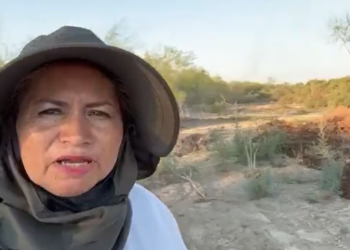 Ceci Flores aclara rumores sobre sus vínculos con la venta de droga en Sonora: “Es de mi hermano y mi hijo”