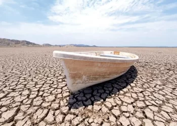 Crece preocupación por la crisis climática