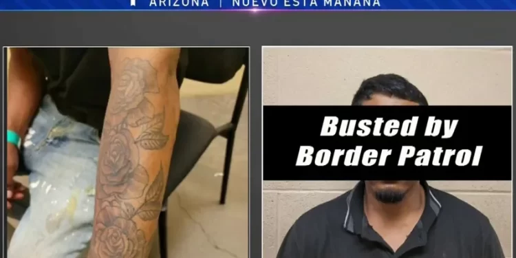 Arrestan en reserva indígena a integrante de Cártel de Jalisco Nueva Generación