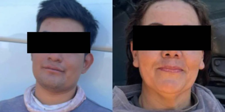 Pareja a Prisión por Engañar a Jornaleros y Cosechar Tomate en Campo Agrícola Ajeno de Guaymas