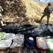 Golpes millonarios al narco en Sinaloa, Sonora y Quintana Roo: aseguran fentanilo y metanfetamina