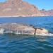 Playas de Sonora con Buena Derrama Económica Durante Semana Santa