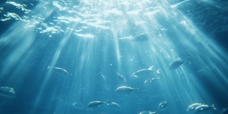 Día mundial de los animales acuáticos, ¿Cuáles son los animales de agua en peligro crítico de extinción?