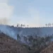 Incendio Forestal Ha Consumido 320 Hectáreas en Municipio de Nácori Chico