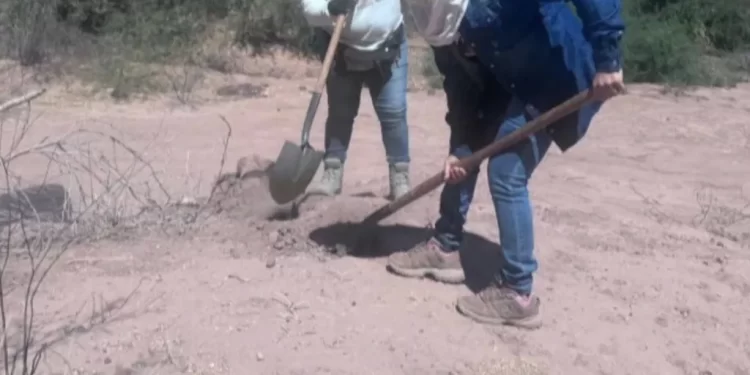 Hallan Cuerpo Sin Vida de Hombre en Predio Rumbo a Costa de Hermosillo