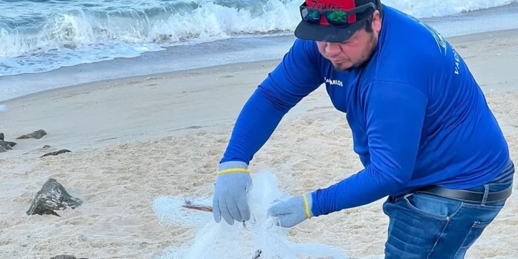 Jóvenes transforman redes de pesca en figuras 3D para proteger a vaquita marina