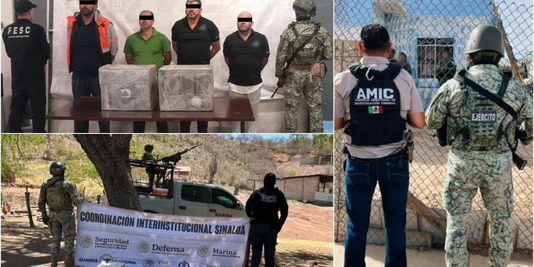 Operación Frontera Norte: 12 detenidos en Baja California, Sonora y Sinaloa
