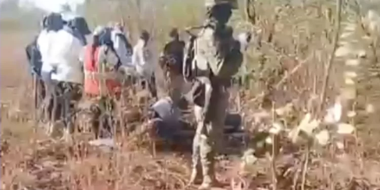 Encuentran Restos de 2 Hombres y Una Mujer en Fosa Clandestina en Cajeme