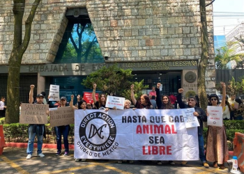 Activistas exigen que Santander deje de financiar proyecto de gas licuado en Sonora
