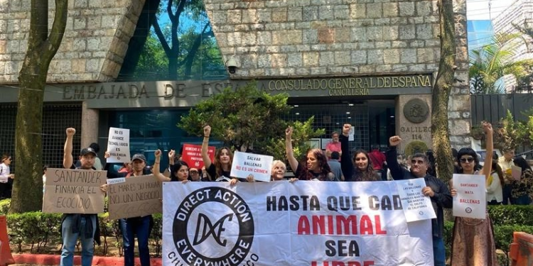 Activistas exigen que Santander deje de financiar proyecto de gas licuado en Sonora