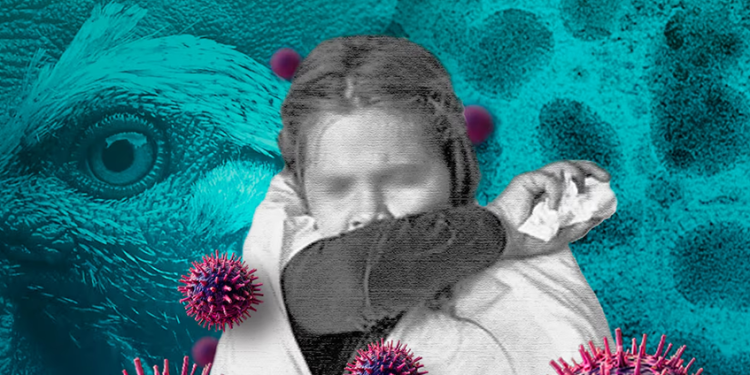 Detectan primer caso humano de influenza aviar en México; se trata de una niña de 3 años