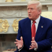 “México tiene, creo yo, mucho miedo de los cárteles en realidad”, dice Trump; asegura que controlan grandes sectores del país