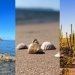 La playa de los caracoles en Sonora que debes visitar en esta Semana Santa 2025; ¿Cómo llegar?