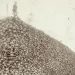 La foto de la montaña de cráneos de bisonte que revela una infame historia de Estados Unidos
