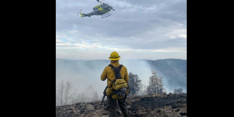 Controlan 60% del incendio en sierra de Bavispe