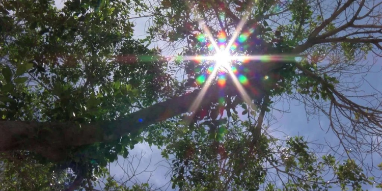 Hermosillo Registra Temperatura de 42º Centígrados Hoy 10 de Abril de 2025