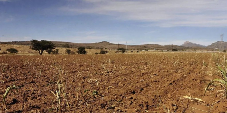 Sonora y Sinaloa Enfrentan una Severa Crisis Hídrica