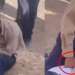 Joven de 17 años sufre brutal golpiza en novatada de preparatoria militarizada en Ciudad Obregón, Sonora; padres denuncian ante Fiscalía y escuela expulsará a responsables