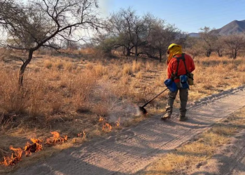 Brigadas combaten 3 incendios forestales en Sonora; sofocan uno más que deja 85 hectáreas afectadas