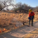 Brigadas combaten 3 incendios forestales en Sonora; sofocan uno más que deja 85 hectáreas afectadas