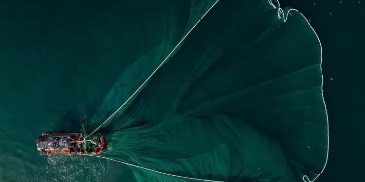 Sobrepesca: lo que nos han enseñado las finanzas, pero no aplicamos a la naturaleza