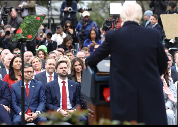 Heard y McDonald, las islas deshabitadas a las que Trump ha impuesto aranceles