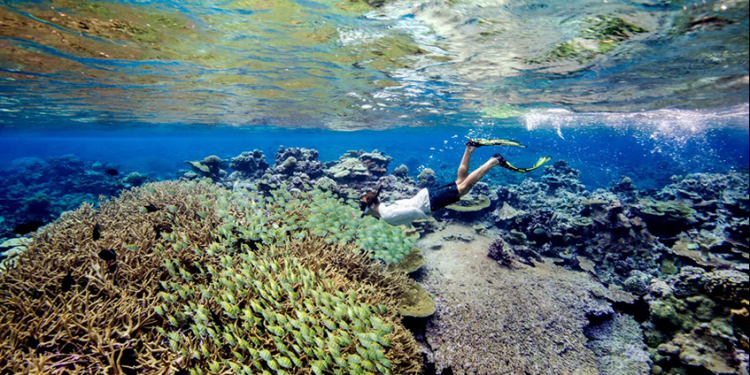 Trump abre una zona marina protegida en el Pacífico a la pesca comercial