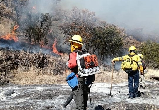Conafor pide apoyo a Fuerzas Armadas para combatir incendios en Sonora