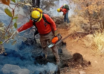Incendio forestal en Sonora arrasa casi mil hectáreas de sierra en Bavispe