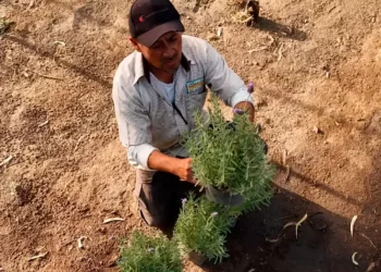 Deportados por Trump buscan comenzar de nuevo en México