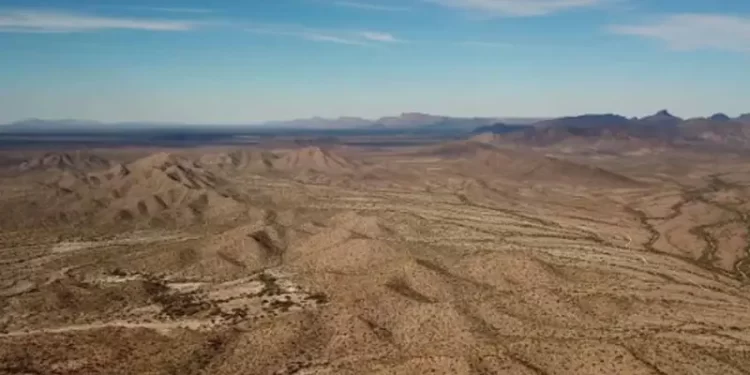 Saguaros, cardones y grandes cactáceas mueren de sed en Desierto de Sonora