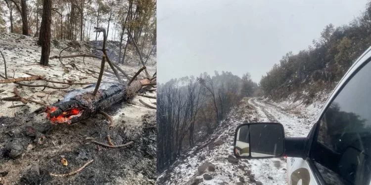 Cae Aguanieve en Zona Afectada por Incendio Forestal en Nácori Chico