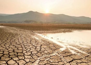 SUFRE sequía la mitad del país; Chihuahua, Sonora y Sinaloa, los más afectados