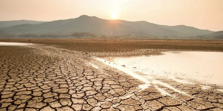 SUFRE sequía la mitad del país; Chihuahua, Sonora y Sinaloa, los más afectados