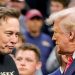 Elon Musk Abandona la Administración Trump tras Criticar Proyecto Fiscal