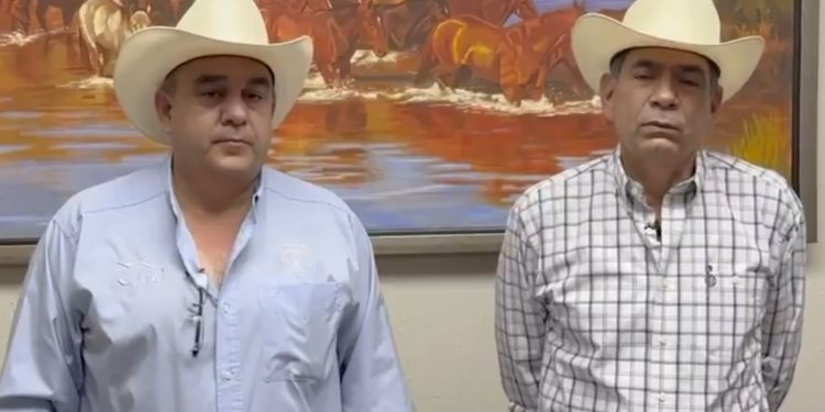 Exportarán este lunes últimas cabezas de ganado previo a cierre por gusano barrenador