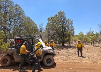 Atienden incendio forestal en la zona limítrofe entre los estados de Chihuahua y Sonora