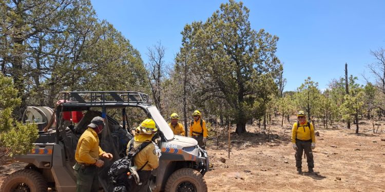 Atienden incendio forestal en la zona limítrofe entre los estados de Chihuahua y Sonora