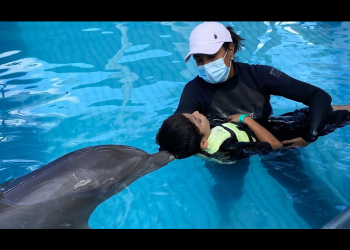 Darán terapias con delfines a personas con discapacidad; CEDES y DIF Sonora firman convenio