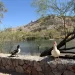 A medida que Hermosillo crece, los espacios verdes se vuelven oro